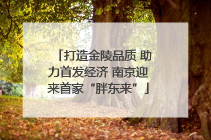 打造金陵品质 助力首发经济 南京迎来首家“胖东来”
