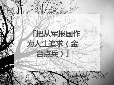把从军报国作为人生追求（金台点兵）