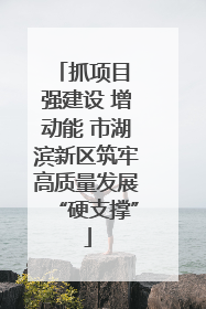 抓项目 强建设 增动能 市湖滨新区筑牢高质量发展“硬支撑”
