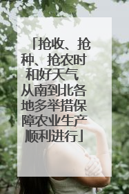 抢收、抢种、抢农时和好天气 从南到北各地多举措保障农业生产顺利进行