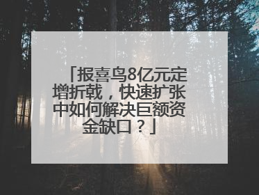 报喜鸟8亿元定增折戟，快速扩张中如何解决巨额资金缺口？