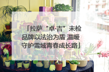 拉萨“卓·吉”未检品牌以法治为盾 温暖守护雪域青春成长路
