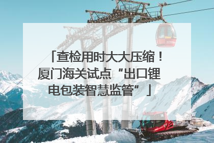 查检用时大大压缩！厦门海关试点“出口锂电包装智慧监管”