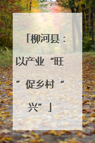 柳河县：以产业“旺”促乡村“兴”