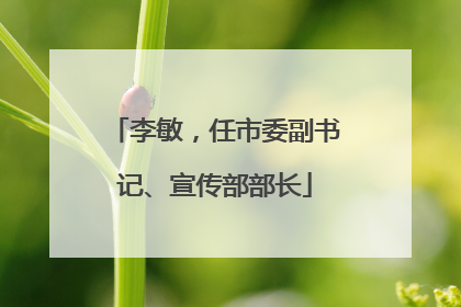 李敏，任市委副书记、宣传部部长
