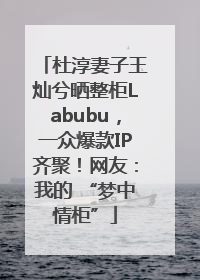 杜淳妻子王灿兮晒整柜Labubu，一众爆款IP齐聚！网友：我的 “梦中情柜”