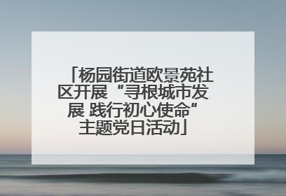 杨园街道欧景苑社区开展“寻根城市发展 践行初心使命”主题党日活动
