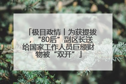 极目政情丨为获提拔，“80后”副区长送给国家工作人员巨额财物被“双开”