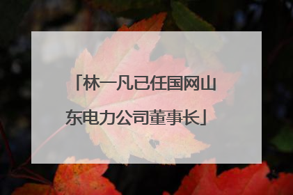林一凡已任国网山东电力公司董事长