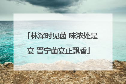 林深时见菌 味浓处是宴 晋宁菌宴正飘香