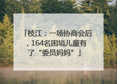 枝江：一场协商会后，164名困境儿童有了“委员妈妈”
