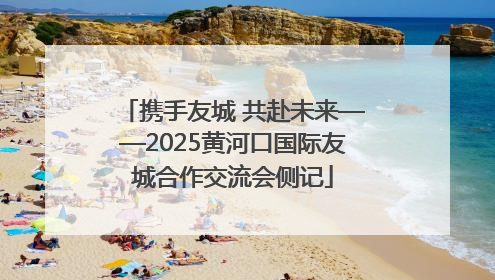 携手友城 共赴未来——2025黄河口国际友城合作交流会侧记