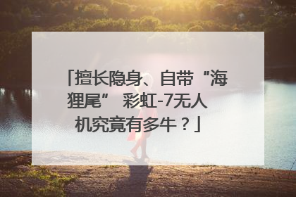 擅长隐身、自带“海狸尾” 彩虹-7无人机究竟有多牛？