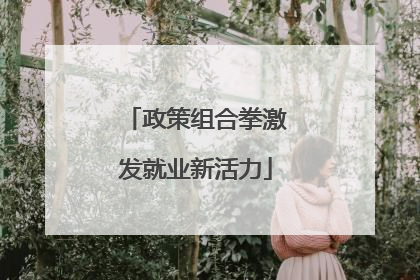 政策组合拳激发就业新活力
