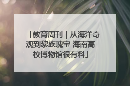 教育周刊｜从海洋奇观到黎族瑰宝 海南高校博物馆很有料