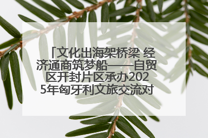 文化出海架桥梁 经济通商筑梦船——自贸区开封片区承办2025年匈牙利文旅交流对接活动专场