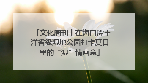 文化周刊丨在海口潭丰洋省级湿地公园打卡夏日里的“湿”情画意