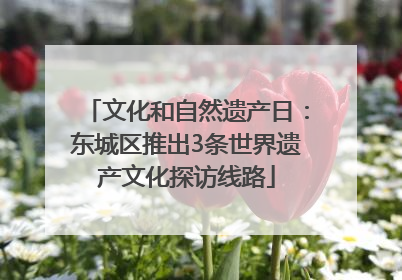 文化和自然遗产日：东城区推出3条世界遗产文化探访线路