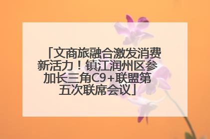 文商旅融合激发消费新活力！镇江润州区参加长三角C9+联盟第五次联席会议