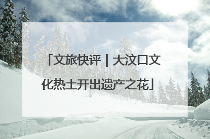 文旅快评｜大汶口文化热土开出遗产之花