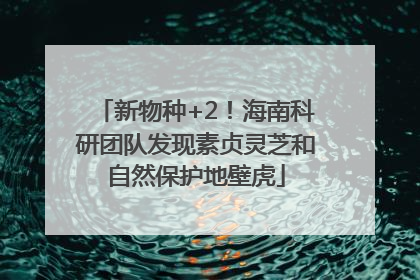 新物种+2！海南科研团队发现素贞灵芝和自然保护地壁虎