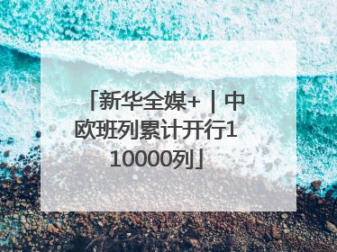 新华全媒+｜中欧班列累计开行110000列
