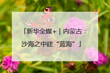新华全媒+｜内蒙古：沙海之中建“蓝海”