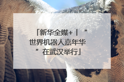 新华全媒+丨“世界机器人嘉年华”在武汉举行