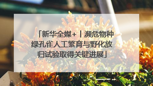 新华全媒+丨濒危物种绿孔雀人工繁育与野化放归试验取得关键进展