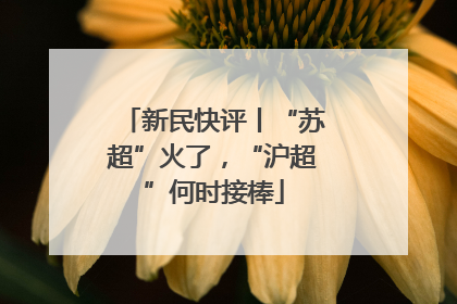 新民快评丨“苏超”火了，“沪超”何时接棒