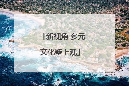 新视角 多元文化壁上观