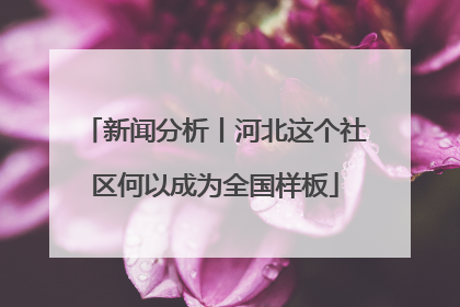 新闻分析丨河北这个社区何以成为全国样板