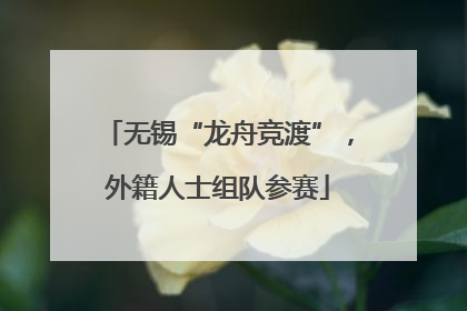 无锡“龙舟竞渡”，外籍人士组队参赛