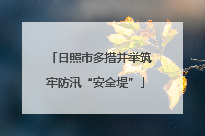日照市多措并举筑牢防汛“安全堤”