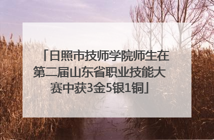 日照市技师学院师生在第二届山东省职业技能大赛中获3金5银1铜