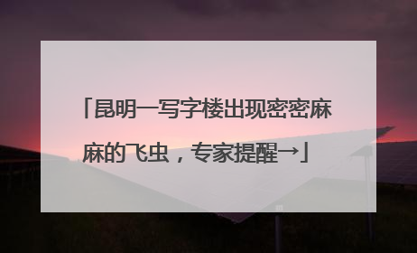 昆明一写字楼出现密密麻麻的飞虫，专家提醒→