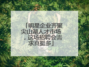 明星企业齐聚尖山湖人才市场，这场招聘会需求真挺多