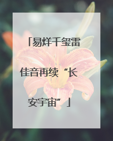 易烊千玺雷佳音再续“长安宇宙”