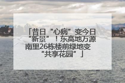 昔日“心病”变今日“新景”！东高地万源南里26栋楼前绿地变“共享花园”