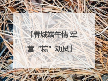 春城端午情 军营“粽”动员