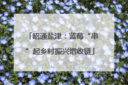 昭通盐津：蓝莓“串”起乡村振兴增收链