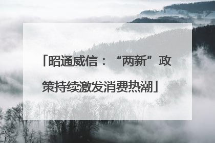 昭通威信：“两新”政策持续激发消费热潮