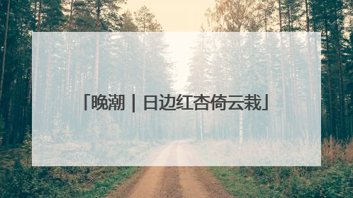 晚潮｜日边红杏倚云栽