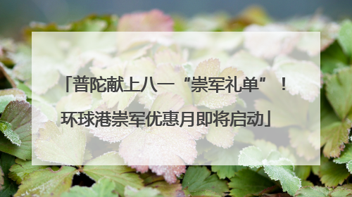 普陀献上八一“崇军礼单”！环球港崇军优惠月即将启动