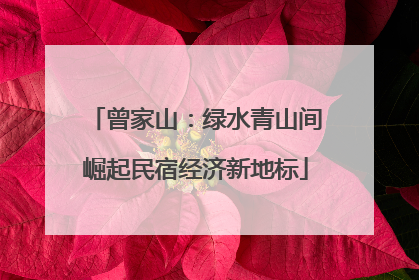 曾家山：绿水青山间崛起民宿经济新地标