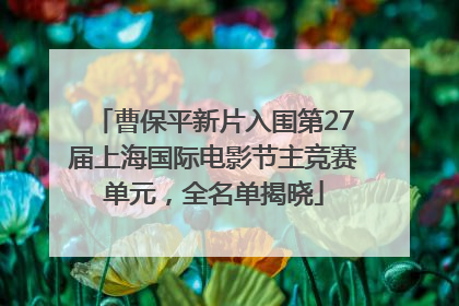 曹保平新片入围第27届上海国际电影节主竞赛单元，全名单揭晓