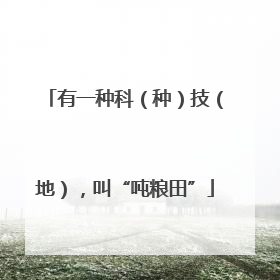 有一种科（种）技（地），叫“吨粮田”