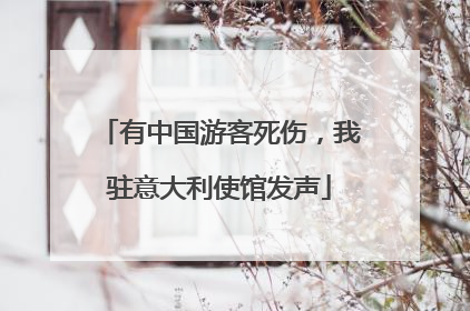 有中国游客死伤，我驻意大利使馆发声