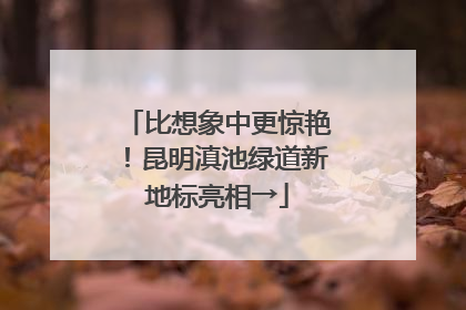 比想象中更惊艳！昆明滇池绿道新地标亮相→