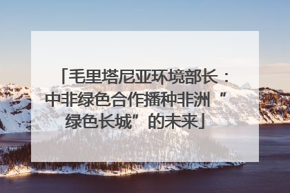 毛里塔尼亚环境部长：中非绿色合作播种非洲“绿色长城”的未来